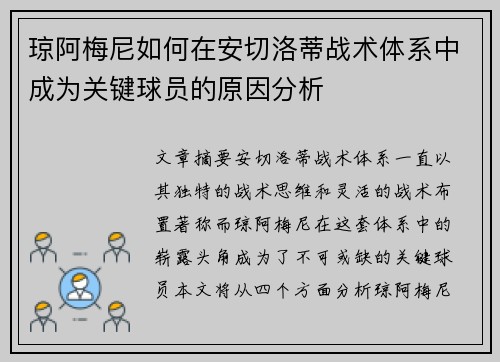 琼阿梅尼如何在安切洛蒂战术体系中成为关键球员的原因分析