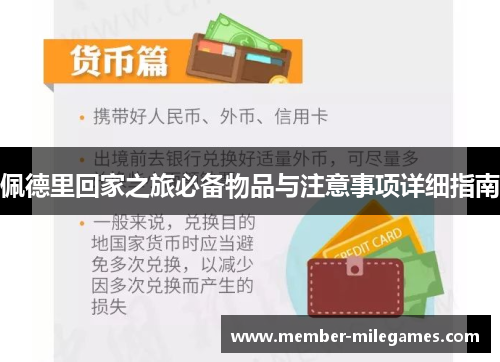 佩德里回家之旅必备物品与注意事项详细指南